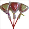 Home Made Heart Lolly Pop - 3 pieces - Click here to View more details about this Product